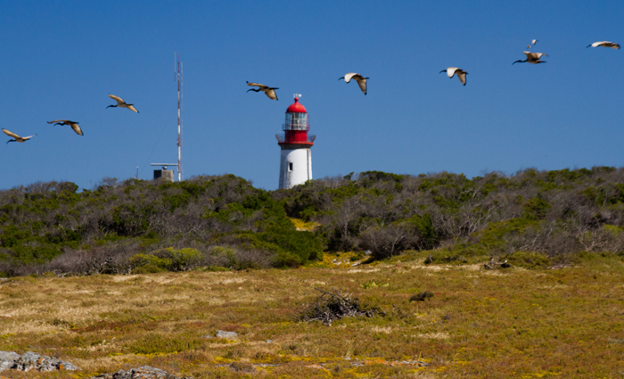 Island Lighthouse